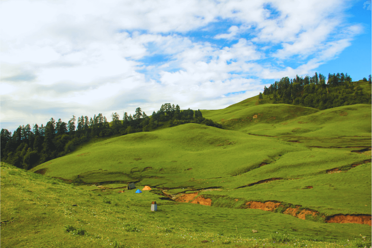 Dayara Bugyal Trek 2025 – Weather, Cost, Itinerary, Distance