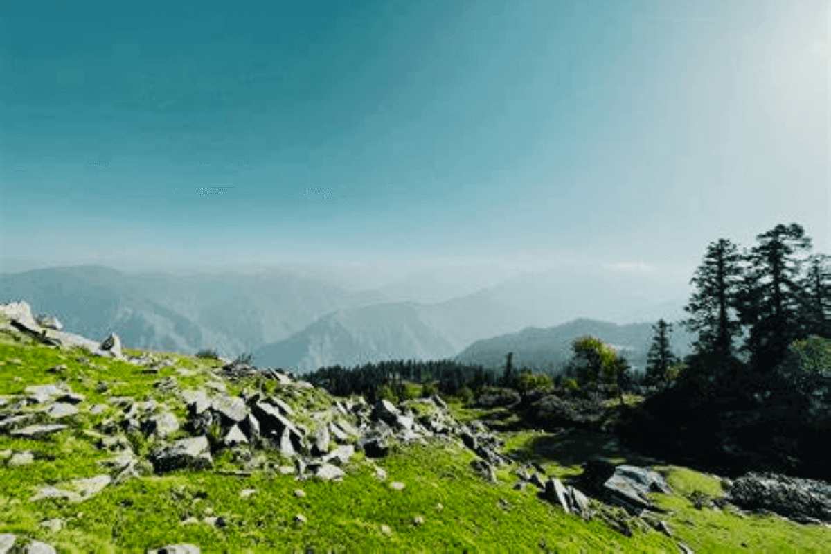 Phulara Ridge Trek 2024 – Itinerary, Cost, Height, Distance