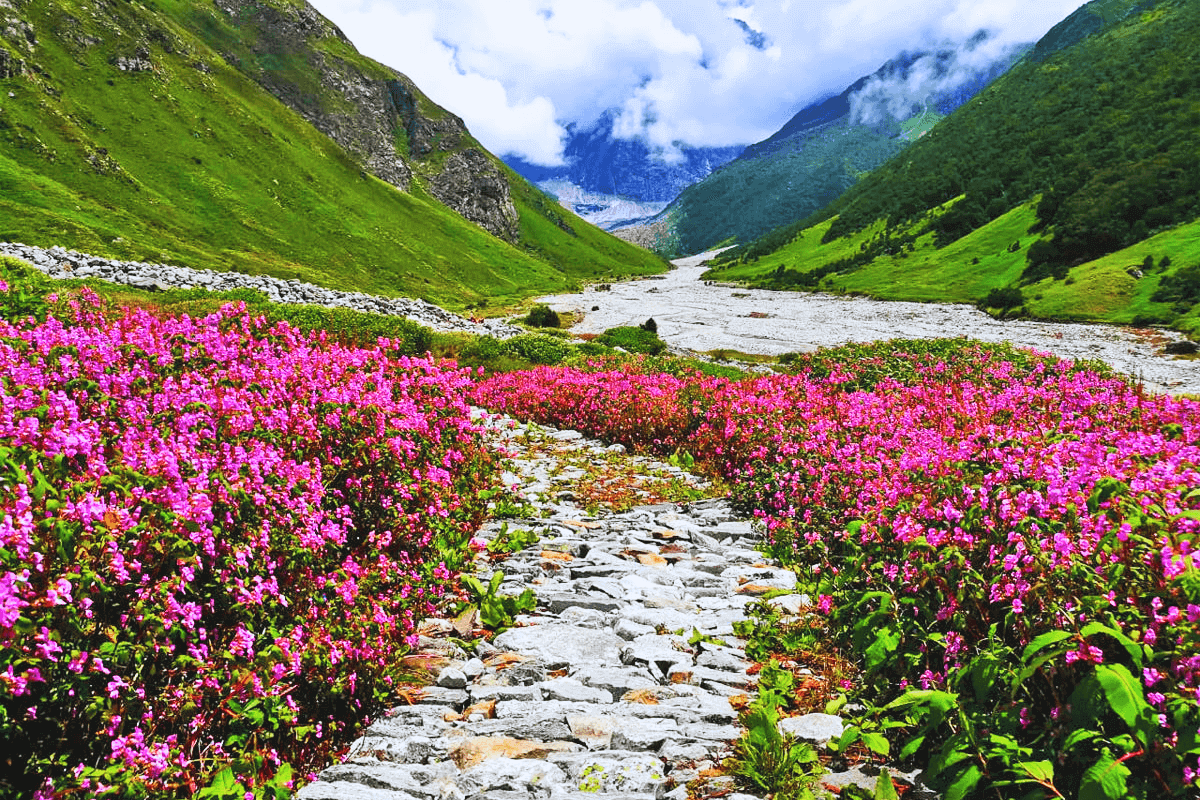 Valley of Flowers Uttarakhand Trek – Itinerary, Cost, Best Time to Visit